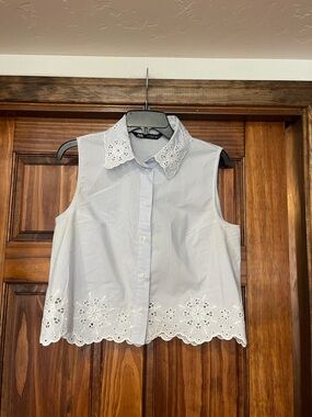 Zara Blue and White Striped Sleeveless Button-Down Top with Eyelet Trim